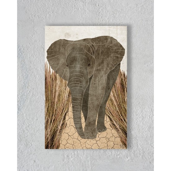 Canvas of Elephant in the  Savannah without Floating Frame